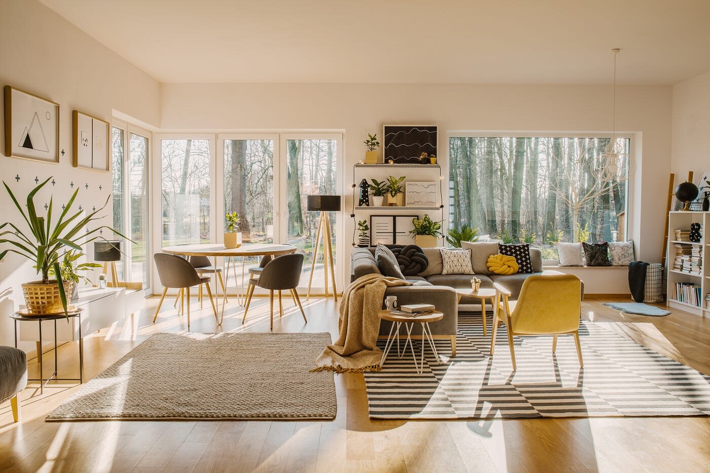 Contenido del artículo